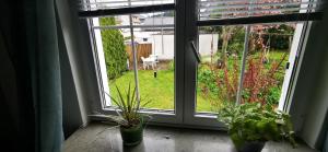 een raam met twee potplanten op een vensterbank bij Ferienwohnung Palmenwald in Freudenstadt