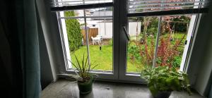 una ventana con dos macetas en un alféizar en Ferienwohnung Palmenwald, en Freudenstadt
