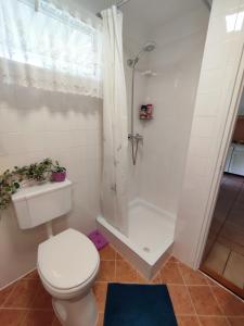 ein Bad mit einem WC und einer Dusche in der Unterkunft Apartman Valentin in Siófok