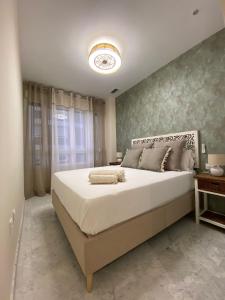 1 dormitorio con 1 cama grande en una habitación en Apartamento reformado con vistas al mar, en Cádiz