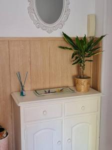 a white cabinet with a potted plant on top of it at Casa Roge in Luarca