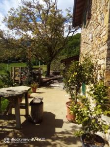 un patio con una mesa de picnic y algunas plantas en Segarati Relax Ca Perdissi, en Bardi