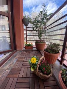 balkon z roślinami i koszem kwiatów w obiekcie Home From Home w mieście Sofia