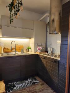 una cucina con lavandino e piano cottura forno superiore di Fausto&Deby Apartment a Oriago