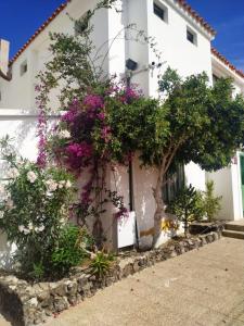 a building with flowers on the side of it at Casa Daila in Costa de Antigua