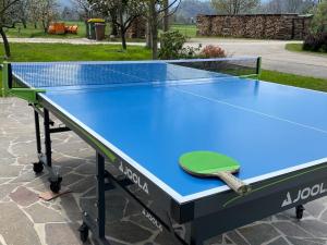 niebieski stół do ping ponga z rakietą w obiekcie Bled Home w Bledzie