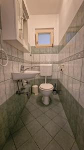 uma casa de banho com um WC e um lavatório em SUN RIVER KOLPA Zala em Vinica
