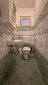 a bathroom with a toilet and a sink at SUN RIVER KOLPA Zala in Vinica