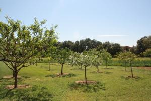 Ein Garten an der Unterkunft Masía Rural Can Poch