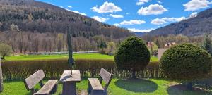 a park with a bench and trees and a mountain at Apartament pod Miłkiem in Wojcieszów