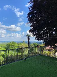 balcone con vista su una palma di Villa Virginia a Varese