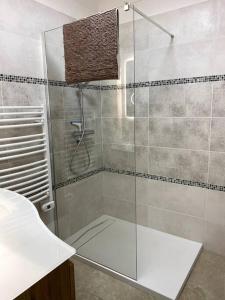 a shower with a glass door in a bathroom at Agréable appartement vue mer in Les Issambres