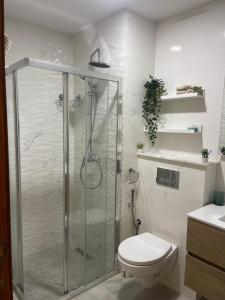 ein Bad mit einer Dusche und einem WC in der Unterkunft cozy appartement with swimming pool in Agadir
