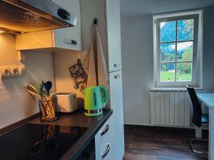 Kuchyň nebo kuchyňský kout v ubytování Apartments Mala Korita Soče