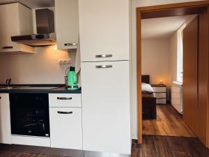 Kuchyň nebo kuchyňský kout v ubytování Apartments Mala Korita Soče