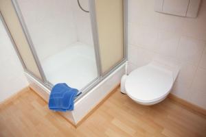 Un baño con ducha y WC. en Ferienwohnung Eifelmond, en Nettersheim