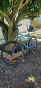 A casa da Laranjeira في Vale Covo: دراجة زرقاء متوقفة بجوار شجرة