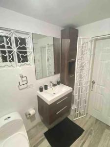 a bathroom with a white toilet and a sink at The Exoria Cottage in Ocho Rios