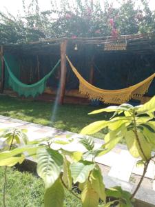 a couple of hammocks in a yard with plants at Ecomar Pousada in São José da Coroa Grande