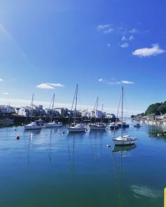 a group of boats are docked in a harbor at Bron Eryri - Our Cosy House opposite the entrance to Portmeirion! in Mynfford