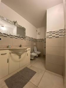 ein weißes Bad mit einem WC und einem Waschbecken in der Unterkunft Appartamento a Rovereto in Rovereto