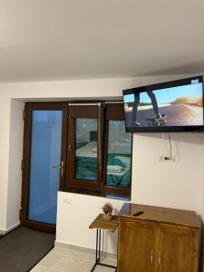 TV a/nebo společenská místnost v ubytování Pensiunea Bujorul Dobrogean