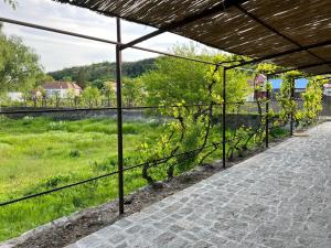 Zahrada ubytování Pensiunea Bujorul Dobrogean
