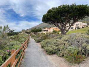 a path with a tree and houses on a hill at Hillside view with hot tub too in Arroyo Grande