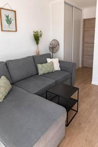 uma sala de estar com um sofá cinzento e uma mesa em Studio / 900m de la plage em Fréjus