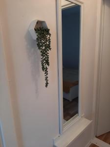 a mirror on a wall with a ivy at Apartman-Kuzminski-Kraje14 in Vodice