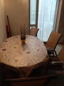 einen Esstisch mit einer Topfpflanze darauf in der Unterkunft Apartman-Kuzminski-Kraje14 in Vodice