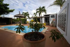 a house with a potted plant next to a swimming pool at Les Villas 33 in Baie du Tombeau