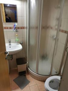 ein Bad mit einer Dusche, einem WC und einem Waschbecken in der Unterkunft Pocket apartment Rogla - Gaber 121 in Zreče