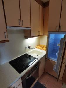 una pequeña cocina con fogones y fregadero en Pocket apartment Rogla - Gaber 121 en Zreče