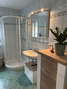 a bathroom with a shower and a sink at Dat Seehuus in Rheinsberg