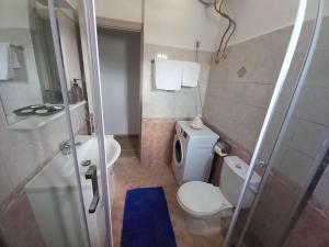 Koupelna v ubytování Annissa Appartment