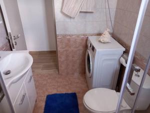 La salle de bains est pourvue de toilettes et d'un lave-linge. dans l'établissement Annissa Appartment, à Karpathos