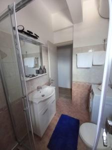uma casa de banho com um chuveiro, um lavatório e um WC. em Annissa Appartment em Cárpatos