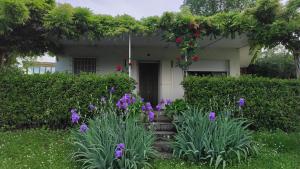una casa con fiori viola di fronte di Casa Rosanna a Peschiera del Garda