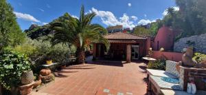 a house with a palm tree and a brick walkway at villa favoloso in Taormina