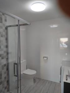 uma casa de banho com um WC e uma cabina de duche em vidro. em Apartamento Loft A Estivada Bajo em Rosal