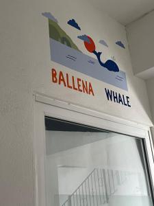 Fotografie z fotogalerie ubytování Vive Alegria Hostel v destinaci Puerto Vallarta