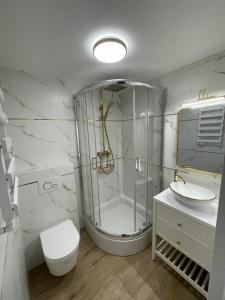a bathroom with a shower and a toilet and a sink at Apartament Joanna in Międzyzdroje