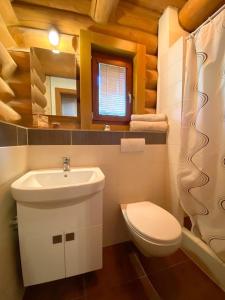 a bathroom with a sink and a toilet and a mirror at Zrub Kaška in Čadca