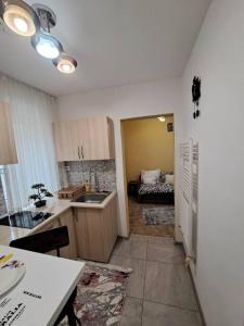 a kitchen with a sink and a room with a bed at Dovali apartment in Râmnicu Vâlcea