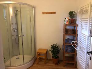 a shower in a bathroom with a glass shower stall at Samota Křemen 