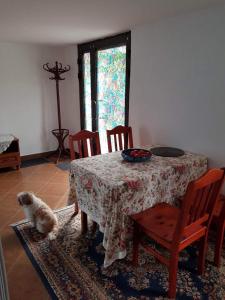 eine Katze, die an einem Tisch in einem Zimmer sitzt in der Unterkunft Willa Różana in Rymanów-Zdrój