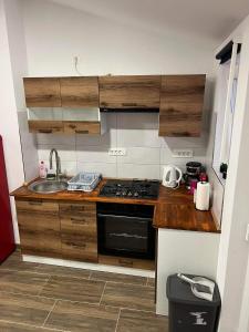 Kuchyň nebo kuchyňský kout v ubytování Apartma Mia