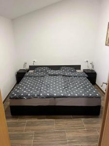 een slaapkamer met een groot bed in een kamer bij Apartma Mia in Črni Kal