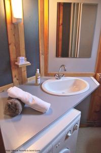 eine Badezimmertheke mit einem Waschbecken und einem Spiegel in der Unterkunft Chalet Park Jouillat 